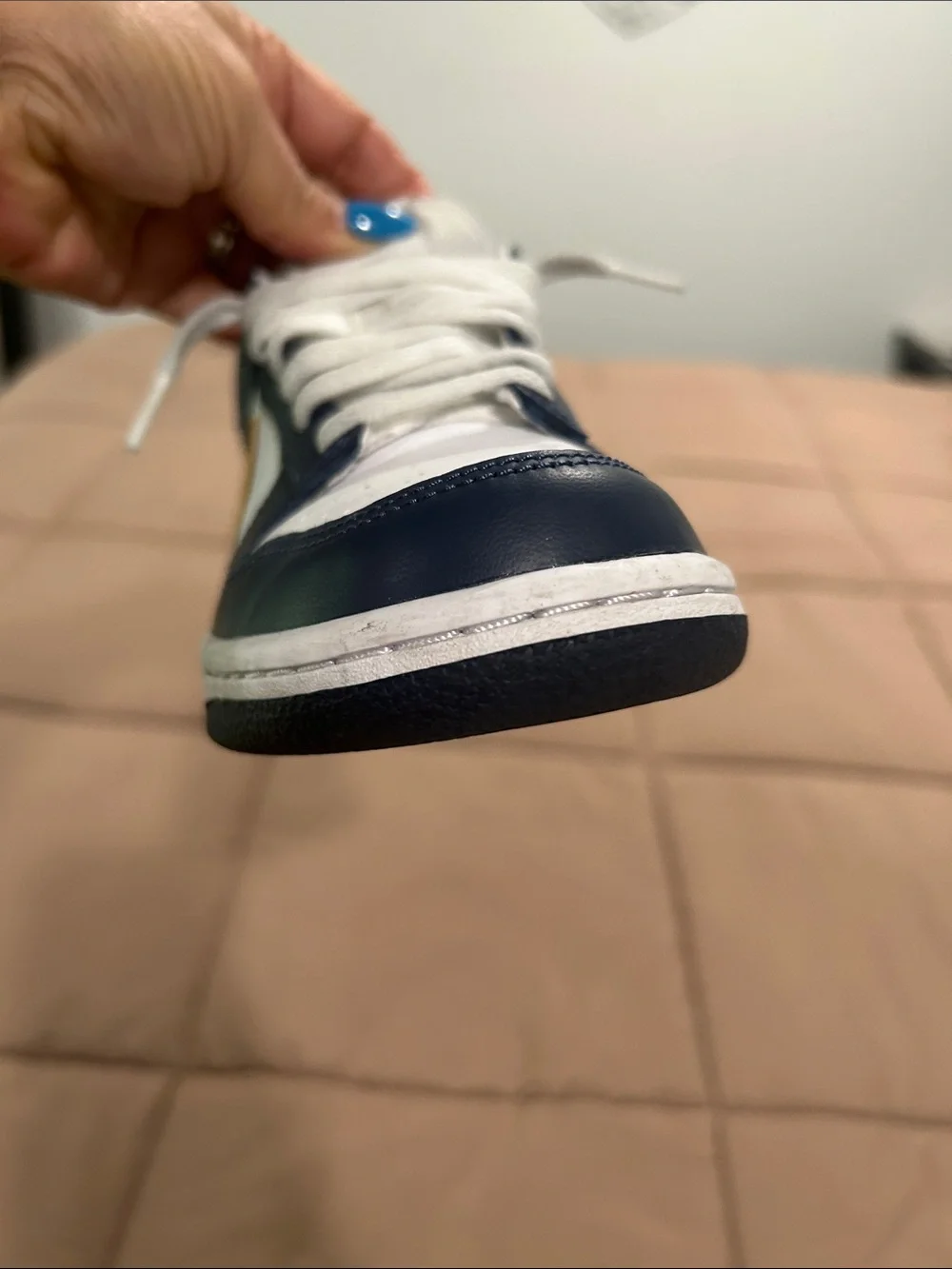 Nike Dunks